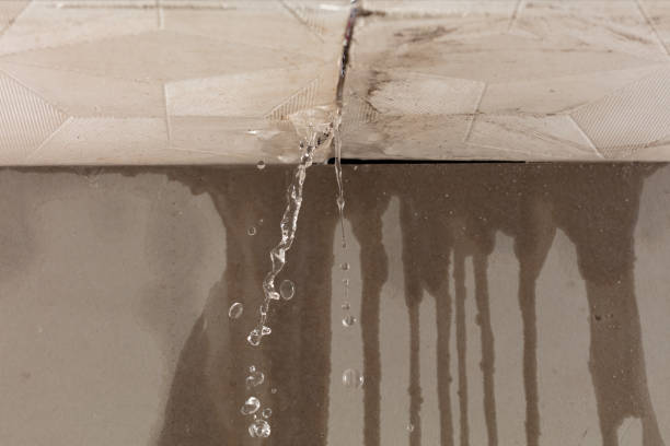 Professional Water Damage Repair technician working in Lucama, NC